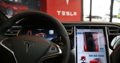 Tesla Brings ‘Effervescence’ Back to Tech Market: JPM Securities