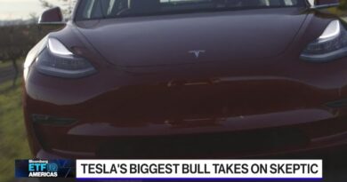 Tesla: Bull vs Bear Debate