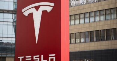 Tesla Factory Prep Delayed by German Court