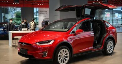 Tesla Had a ‘Wild-Card Year’ in 2020, Analyst Munster Says