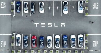 Tesla Is Executing Across the Board, Ross Gerber Says