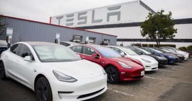 Tesla’s Accomplishment ‘Incredible’: Gerber Kawasaki Wealth