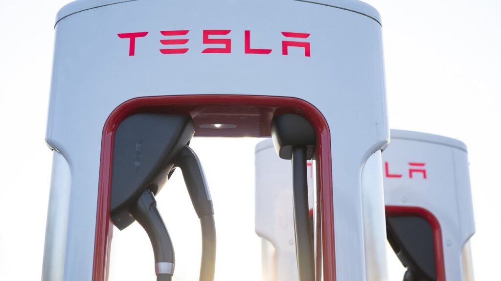 Tesla’s Run Has Only Just Begun, Says Ark Investment CEO