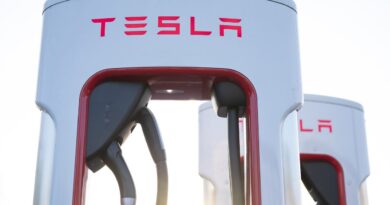 Tesla’s Run Has Only Just Begun, Says Ark Investment CEO