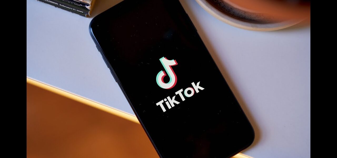 TikTok Hearing Zeroes In on Data Access