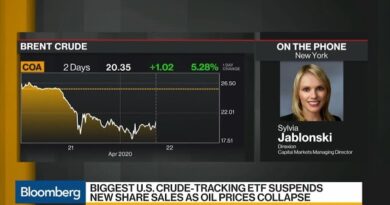 Biggest U.S. Crude-Tracking ETF Suspends New Share Sales as Oil Prices Collapse