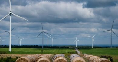 Vestas Wind Systems Is Confident Coming Into 2020, Says CEO