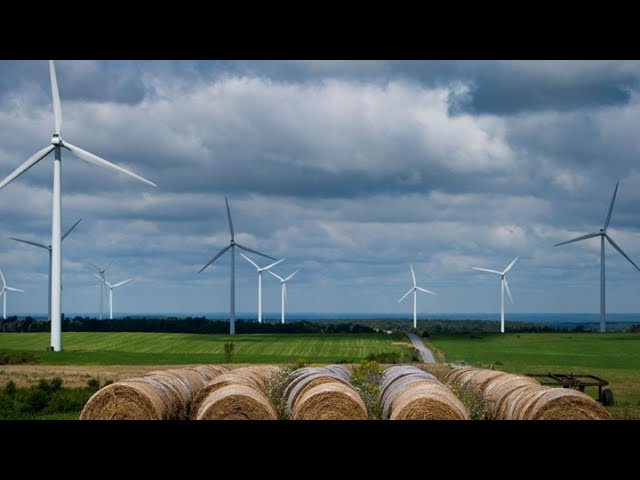 Vestas Wind Systems Is Confident Coming Into 2020, Says CEO