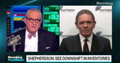 We’ll probably skirt a recession, says Shepherdson