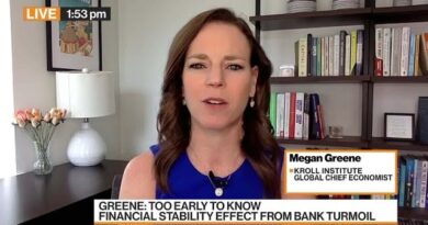 We’re at the Beginning of Bank Instability, Greene Says