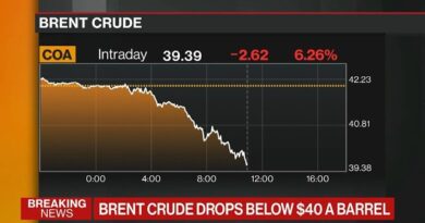 What Is Pushing Oil Prices Down?