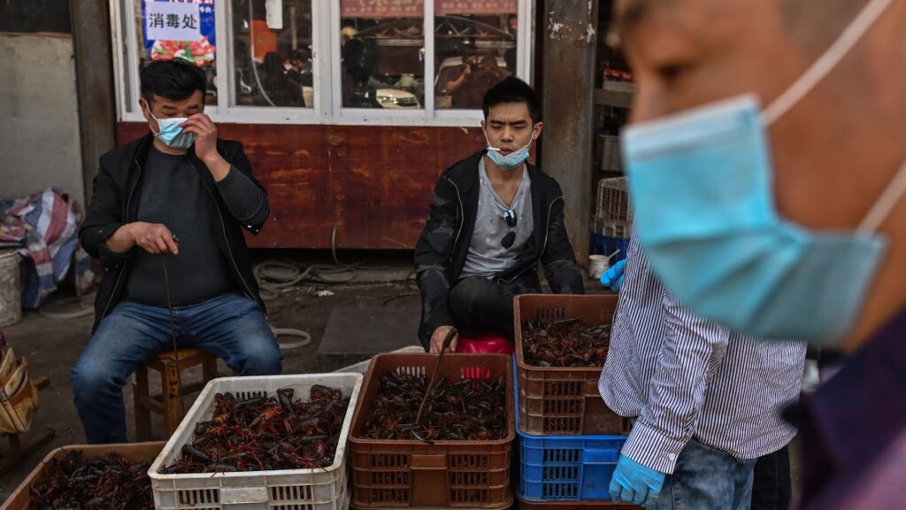 WHO Says Wet Markets Need Strict Regulation, Hygiene Standards