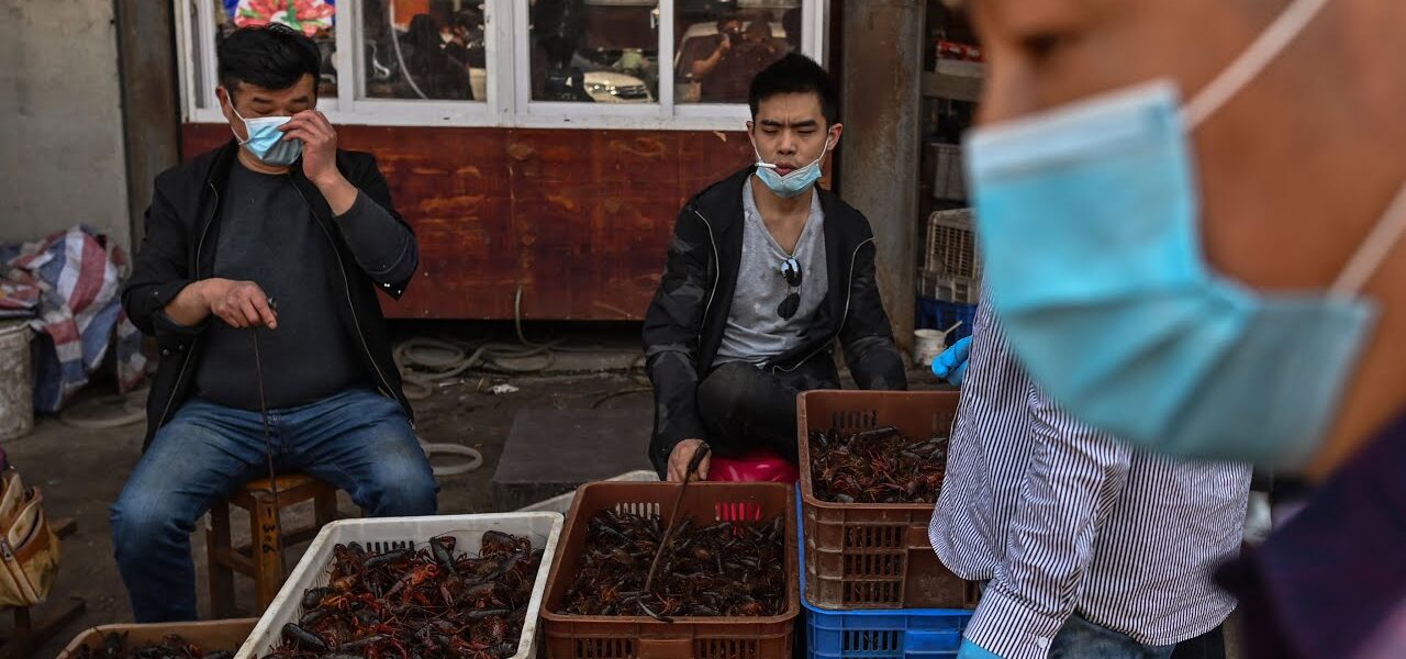 WHO Says Wet Markets Need Strict Regulation, Hygiene Standards