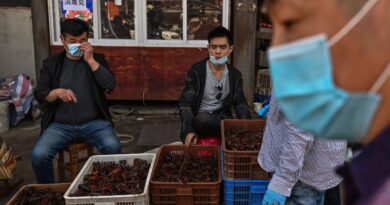 WHO Says Wet Markets Need Strict Regulation, Hygiene Standards