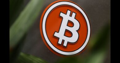 Why Bitcoin Rallied Past ,000 Mark