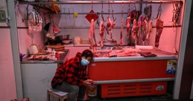 Wuhan’s Wet Markets Return to Life