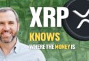 XRP Knows Where The Money Is (Banks Down Bad) – Bitboy Crypto Highlights