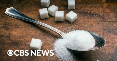 Sugar prices hit highest level in a decade amid growing fears of a global shortage