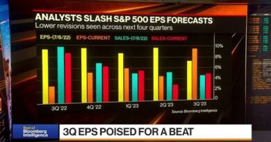 3Q Earnings Preview: Preparing for Impact