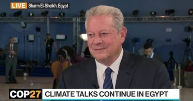 Al Gore Sees Markets Overcoming US GOP on Climate