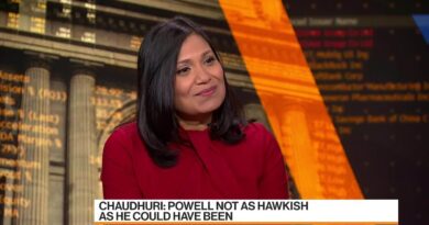 Bonds Are Back, BlackRock's Chaudhuri Says