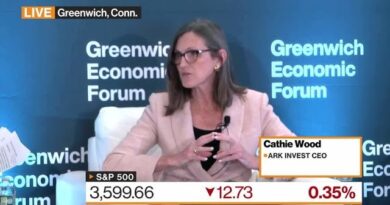 Cathie Wood: Algorithms Are Dominating the Market