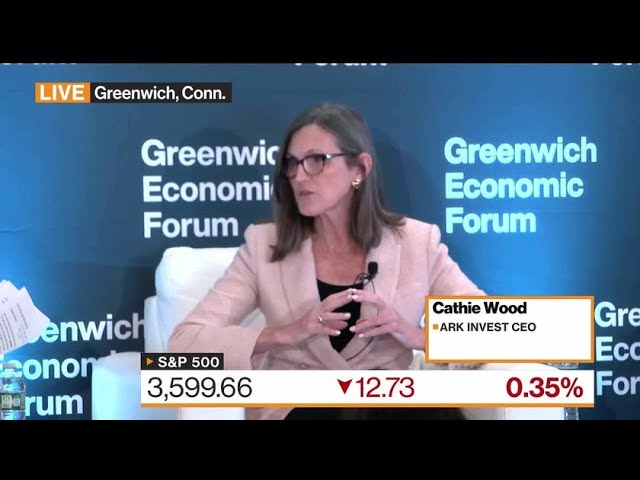 Cathie Wood: Algorithms Are Dominating the Market