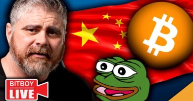 China's Crypto ARMY! ($PEPE's Last Stand)