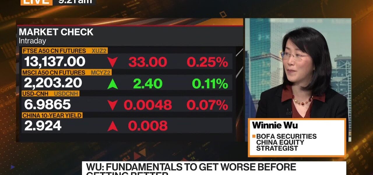 Chinese Stock Rally Has Legs: BofA Securities’s Wu