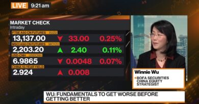 Chinese Stock Rally Has Legs: BofA Securities’s Wu