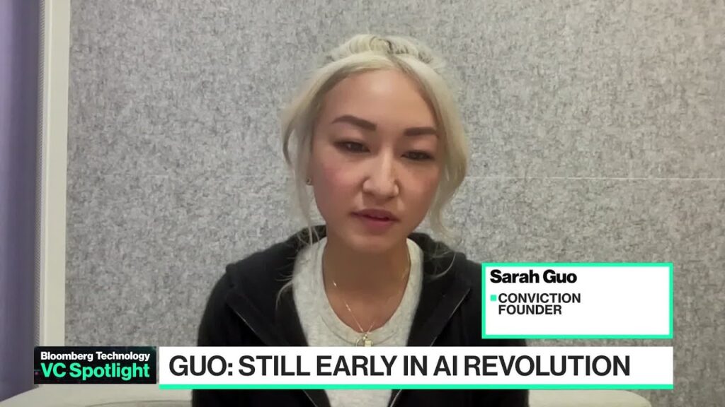 Conviction Founder Guo: Faster AI Regulation Needed