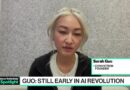 Conviction Founder Guo: Faster AI Regulation Needed