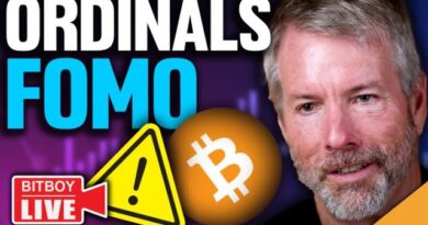 Crypto CPI BREAKOUT! (Michael Saylor FOMO's Into Bitcoin Ordinals)