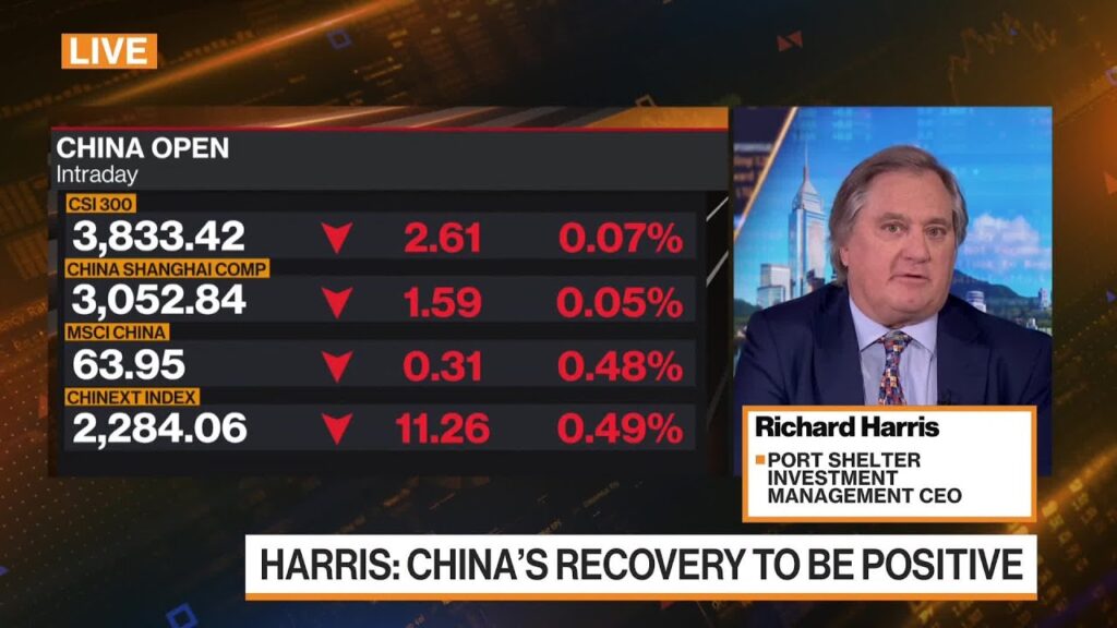 Equities Are Better Bet Than Bonds: Port Shelter’s Harris