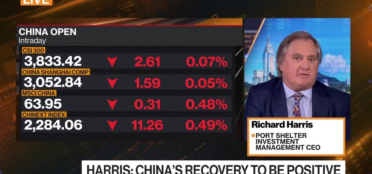 Equities Are Better Bet Than Bonds: Port Shelter’s Harris