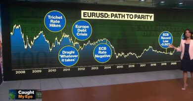 Euro Hits Parity With Dollar as Slump Continues