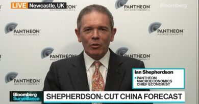 Europe is in Recession Already: Pantheon Macroeconomics’ Shepherdson