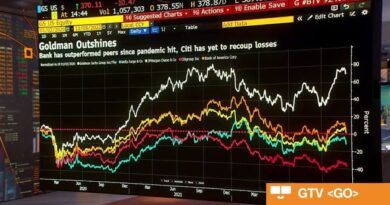 Goldman Sachs on the Outlook for Capital Markets