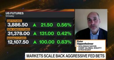 Goldman’s Oppenheimer Says Too Early to Call Peak Inflation