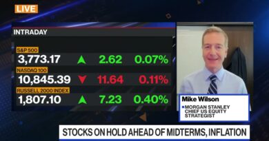 GOP Midterm Win to Spur Bonds: Morgan Stanley’s Wilson