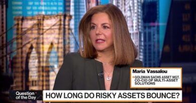 How Long Do Risky Assets Bounce?