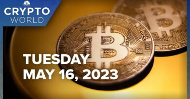 Bitcoin dips amid low liquidity, and EU states approve comprehensive crypto rules: CNBC Crypto World