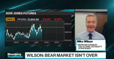 Mike Wilson Sees End to the bear market