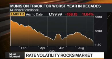 Munis a Great Spot to Invest Now, Vanguard’s Malloy Says