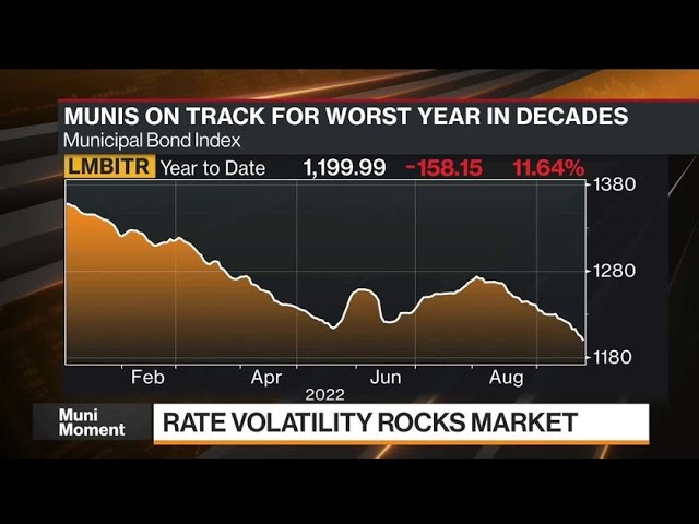 Munis a Great Spot to Invest Now, Vanguard’s Malloy Says