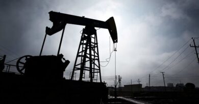 Oil Watchers Count Down to Next OPEC Meeting