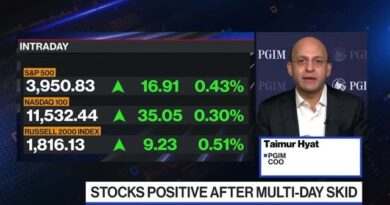 PGIM’s Hyat: This Is a Learning Moment for Retail Investors