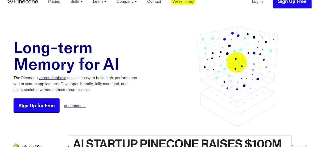 Pinecone and the Rise of Vector Databases