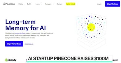 Pinecone and the Rise of Vector Databases
