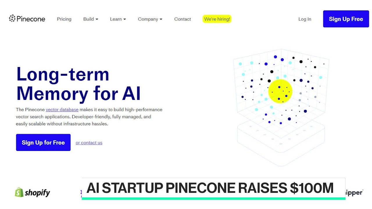 Pinecone And The Rise Of Vector Databases